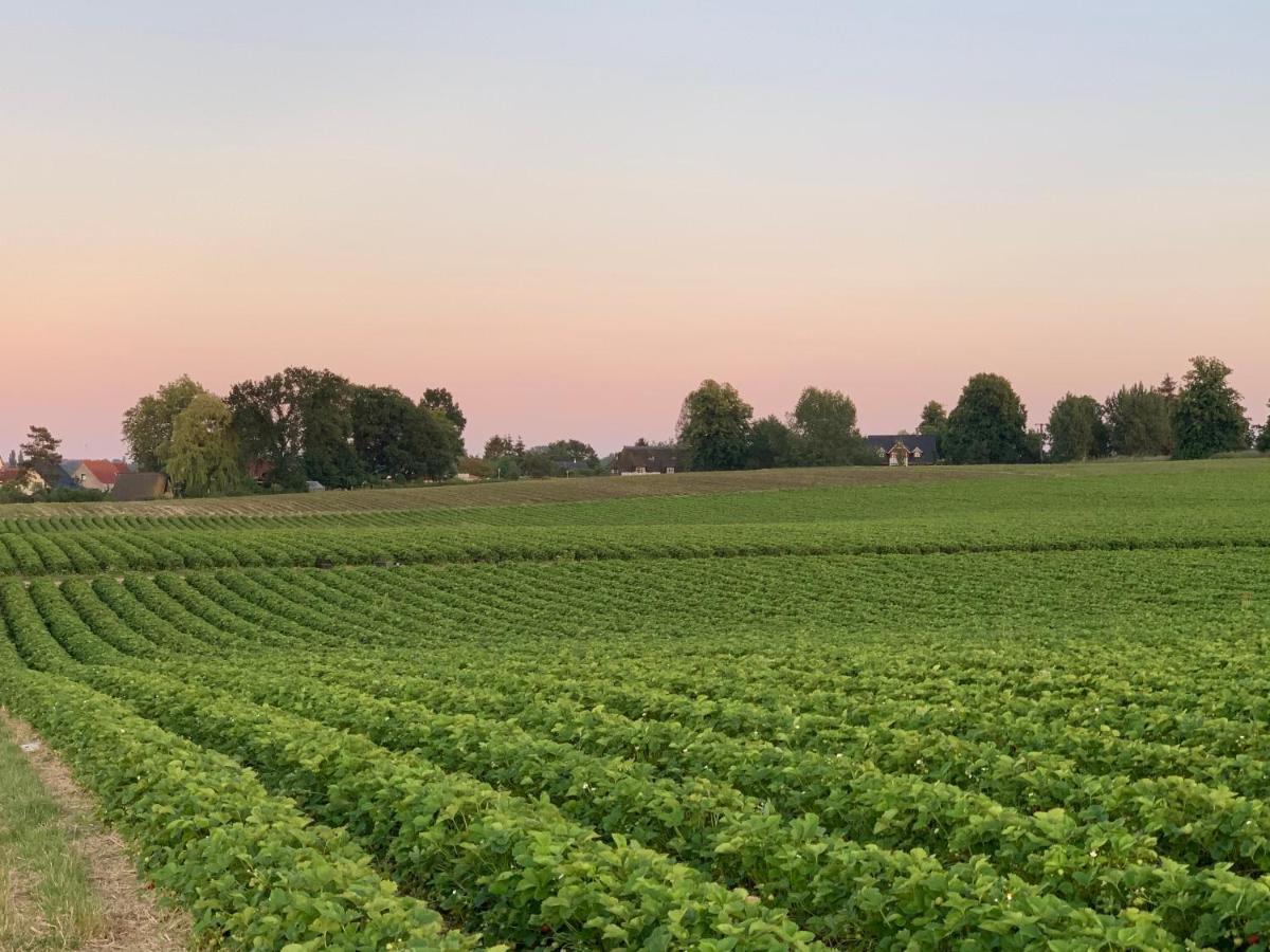 Reet Und Meer Beckerwitz Hohenkirchen  Exterior foto
