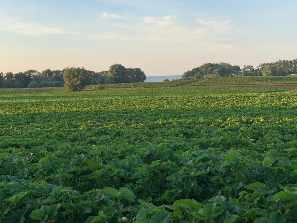 Reet Und Meer Beckerwitz Hohenkirchen  Exterior foto